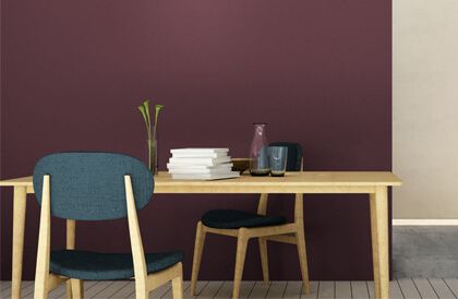 PALETTE COLORE